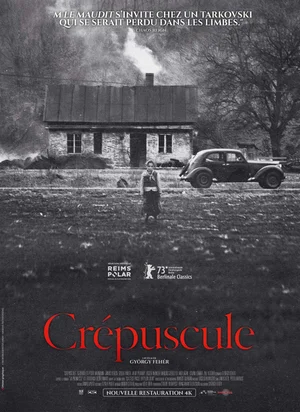 Affiche du film Crépuscule