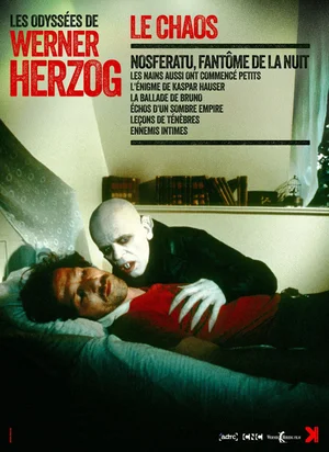 Affiche du film Leçons de ténèbres