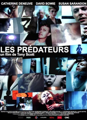 Affiche du film Les Prédateurs