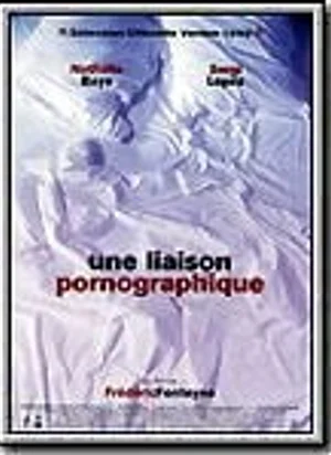 Affiche du film Une liaison pornographique