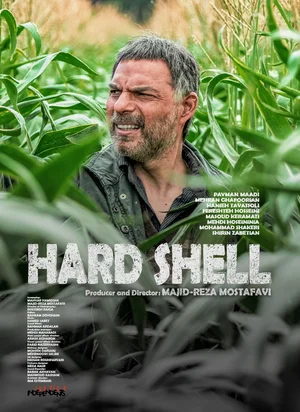 Affiche du film Un homme inoffensif