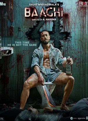 Affiche du film Baaghi 4