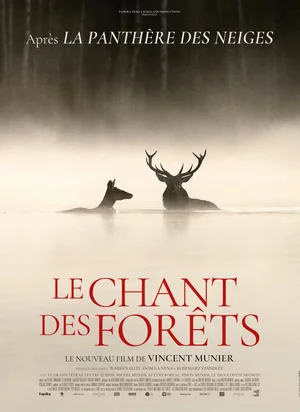 Affiche du film Le Chant des forêts