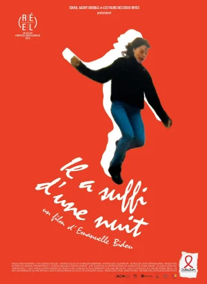 Affiche du film Il a suffi d'une nuit