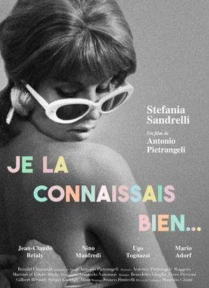 Affiche du film Je la connaissais bien...