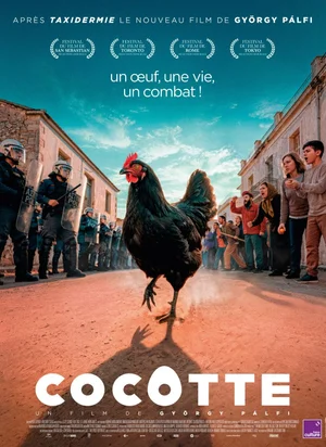 Affiche du film Cocotte