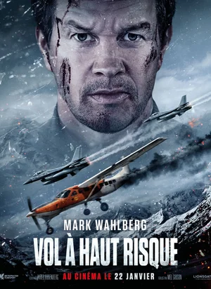 Affiche du film Vol à haut risque