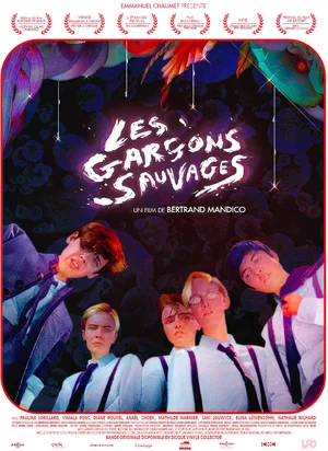 Affiche du film Les Garçons sauvages