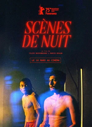 Affiche du film Scènes de nuit