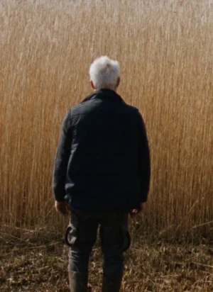 Affiche du film Reedland