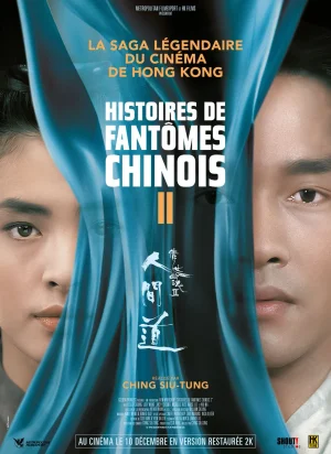 Affiche du film Histoires de fantômes chinois 2