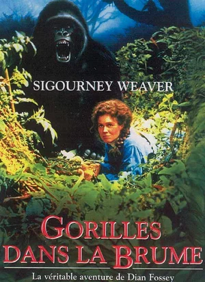 Affiche du film Gorilles dans la brume