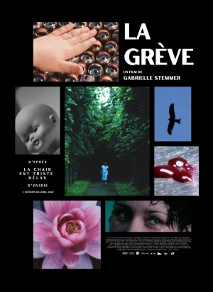 Affiche du film La Grève