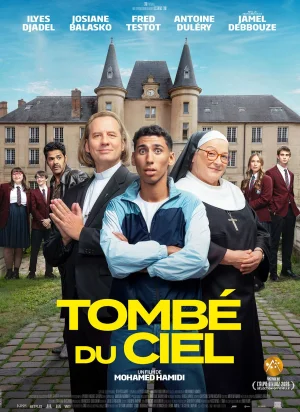Affiche du film Tombé du ciel