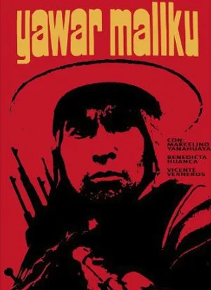 Affiche du film Le Sang du condor