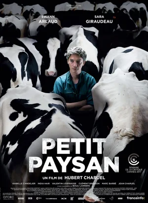 Affiche du film Petit Paysan