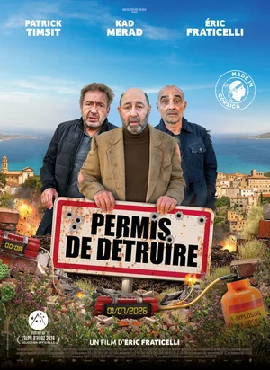 Affiche du film Permis de détruire
