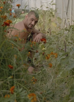 Affiche du film Presque libres