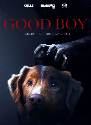 Affiche du film Good Boy