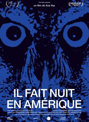 Affiche du film Il fait nuit en Amérique